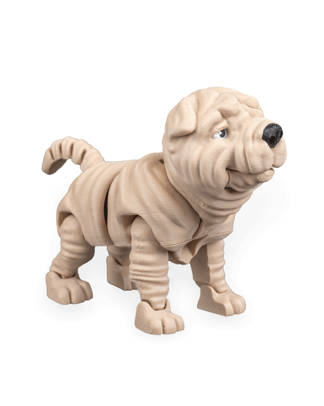 Shar Pei – Articulated Dog Toy