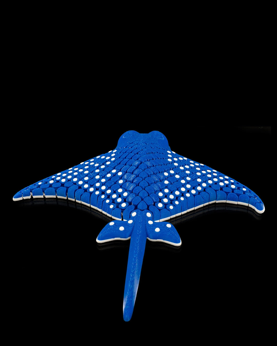 Igor, the Spotted Eagle Ray