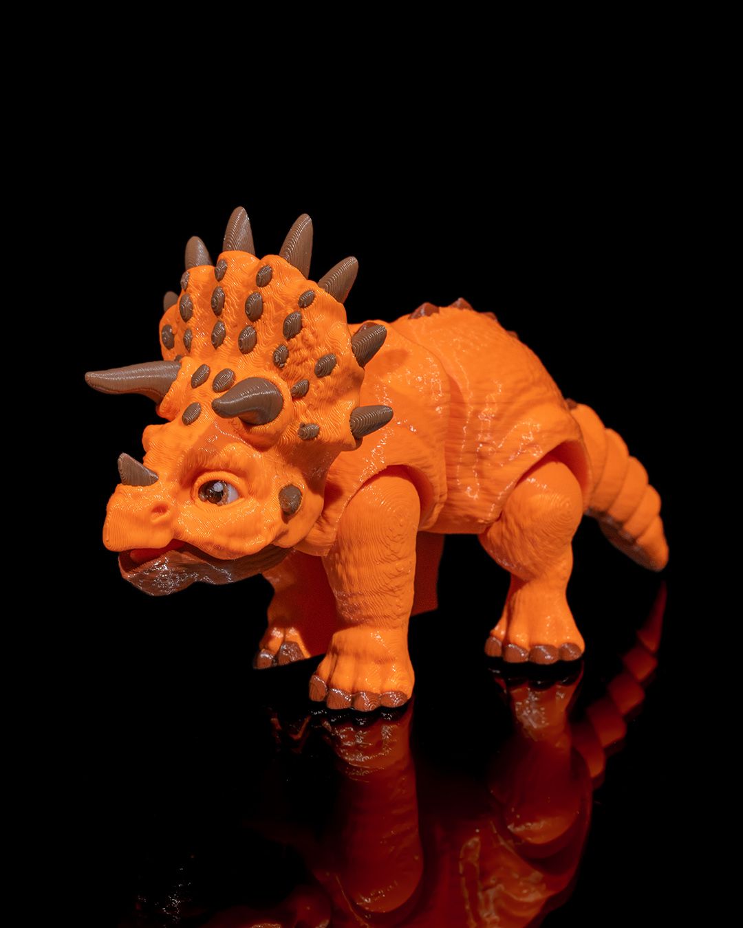 Terrific Triceratops