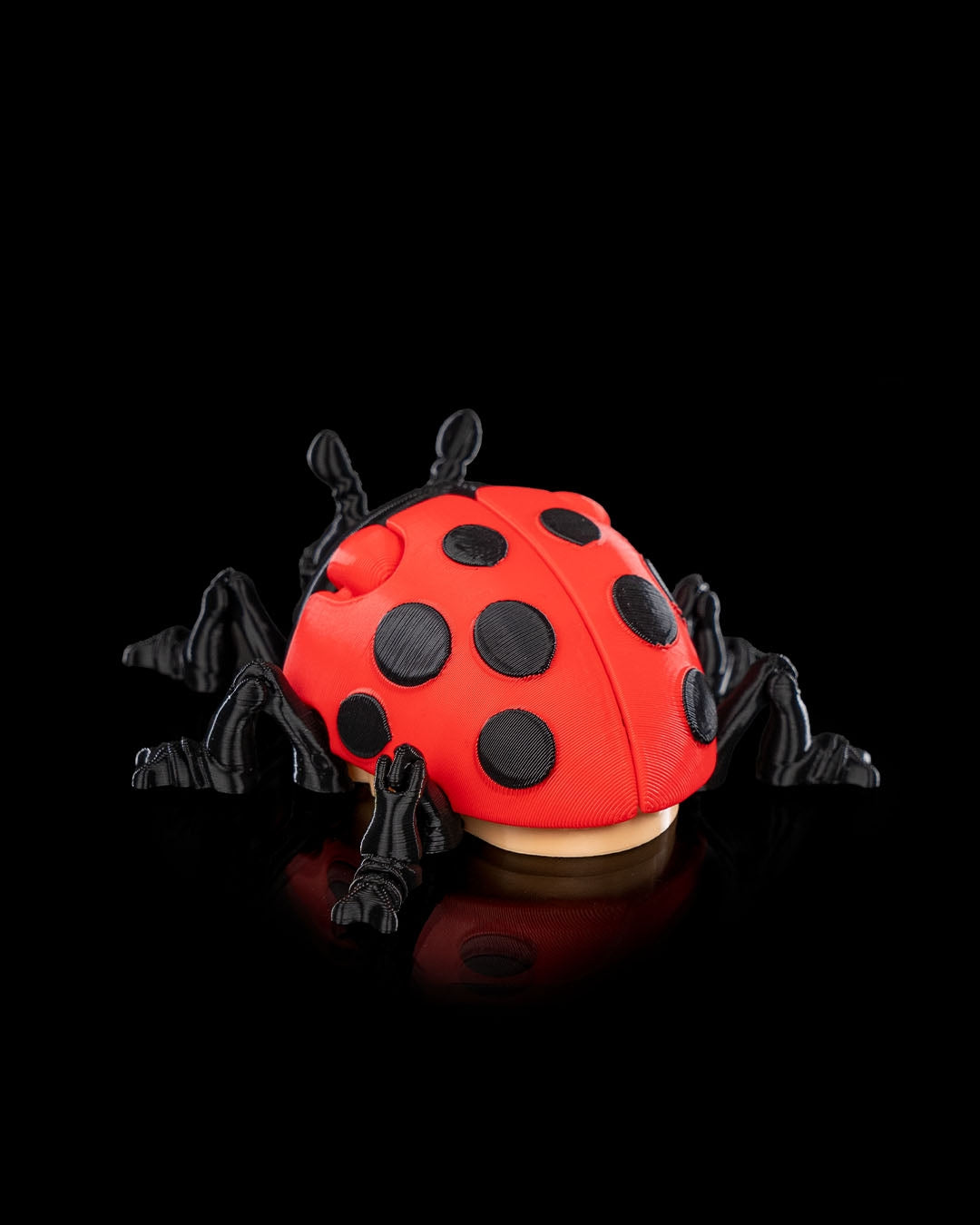 Lilly Ladybug