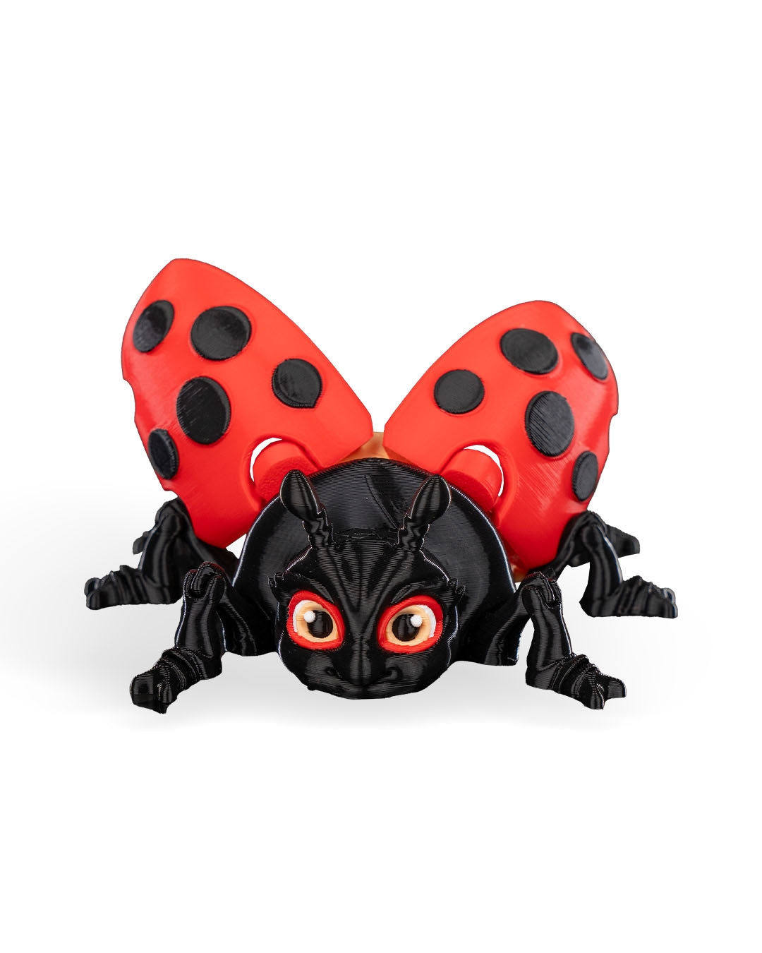 Lilly Ladybug