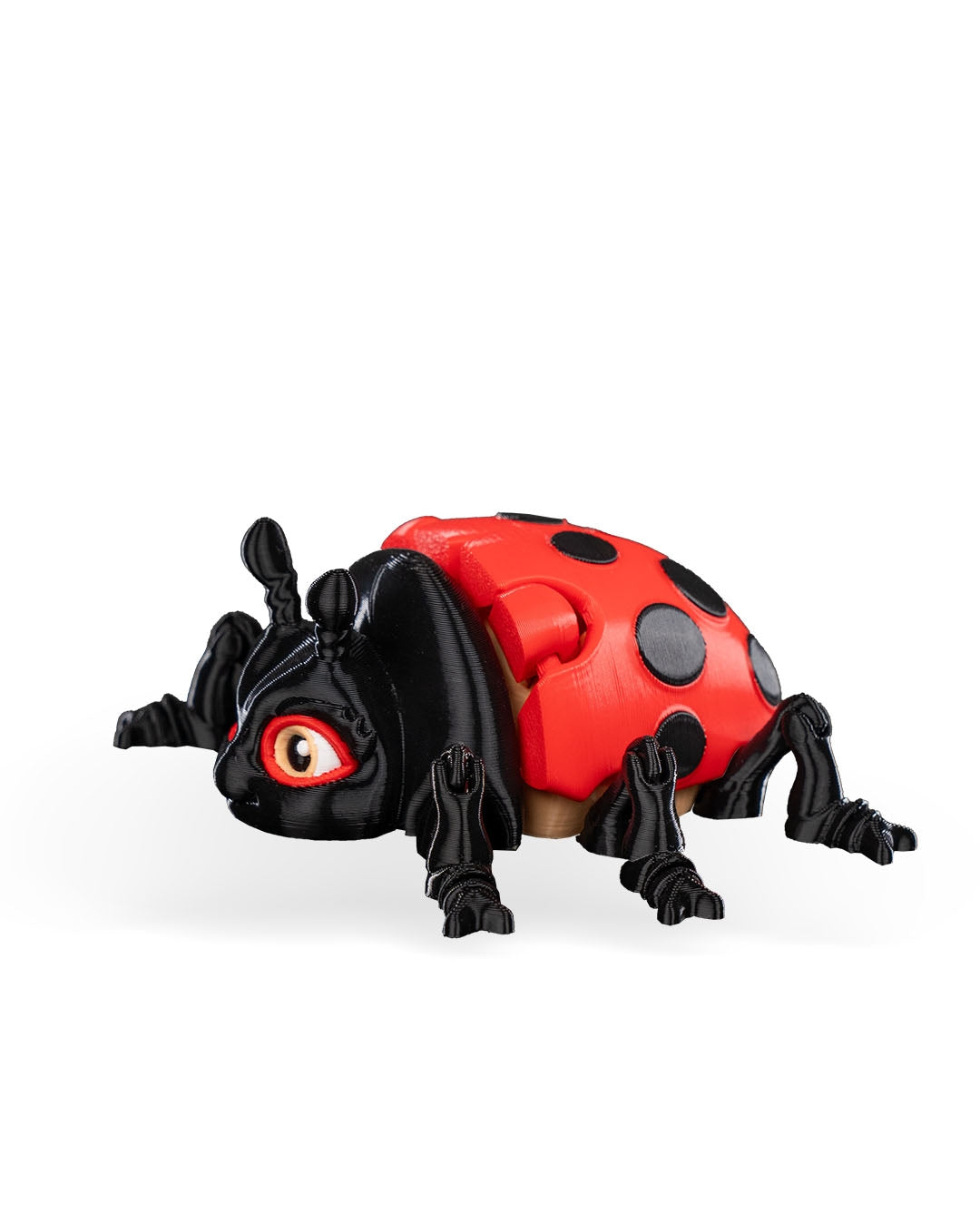 Lilly Ladybug