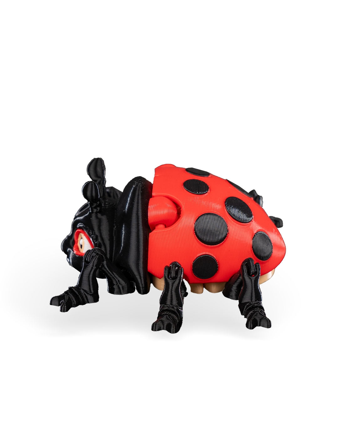 Lilly Ladybug