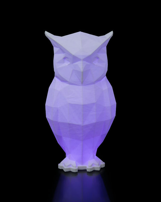 Owl Lamp - RGB LED lamp with remote control