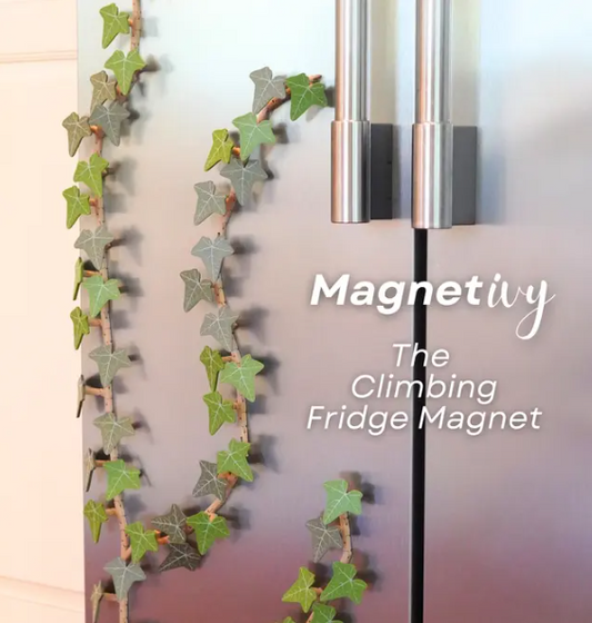 English Ivy Fridge Mangnet - Articulating Fridge Magnet Plant