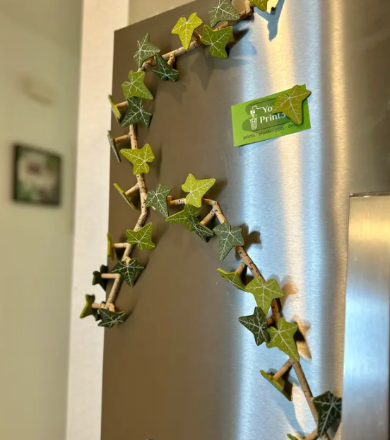 English Ivy Fridge Mangnet - Articulating Fridge Magnet Plant