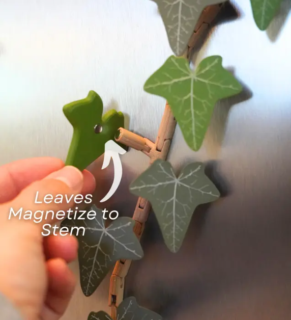 English Ivy Fridge Mangnet - Articulating Fridge Magnet Plant