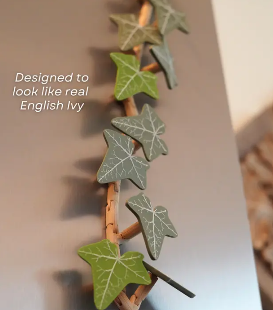 English Ivy Fridge Mangnet - Articulating Fridge Magnet Plant