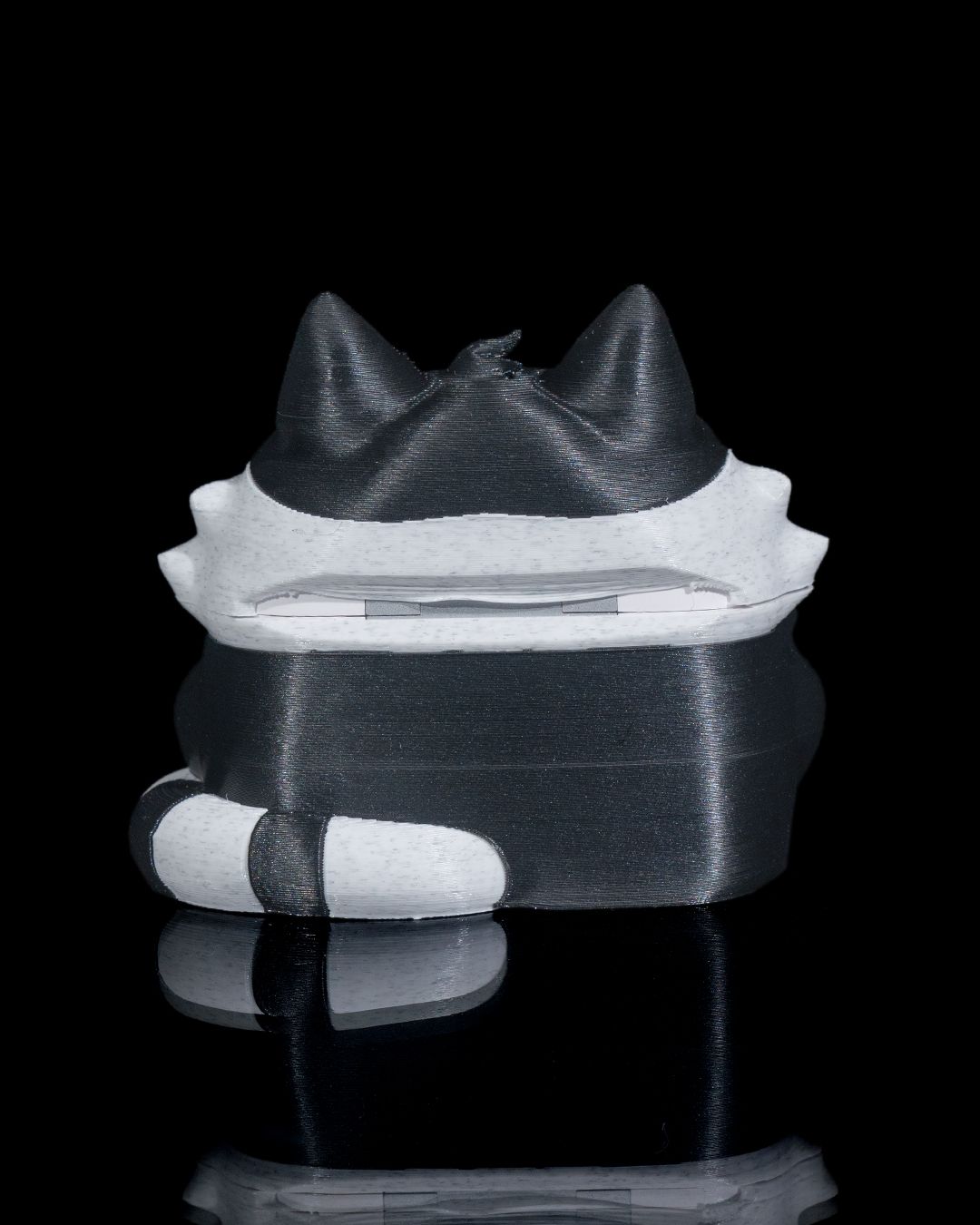 Kitty Cat AirPod Case