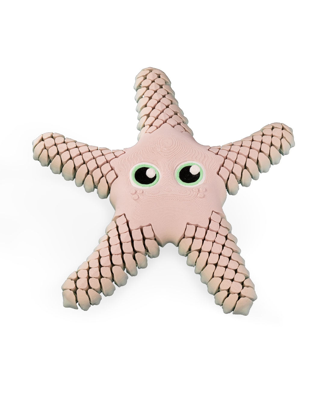 Sandy, the Starfish