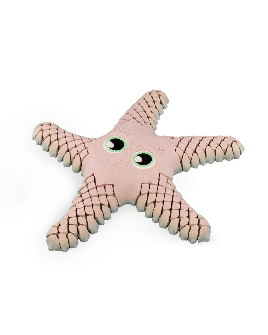 Sandy, the Starfish