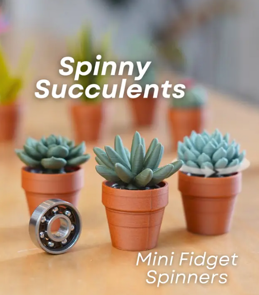 Spinny Succulents