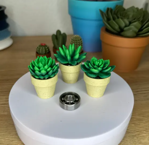 Spinny Succulents