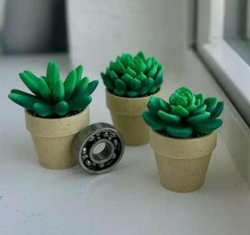 Spinny Succulents