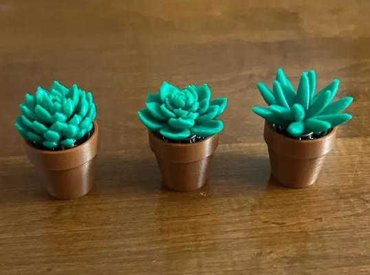 Spinny Succulents