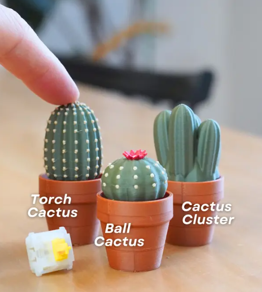 Clicki-Cactus Collection