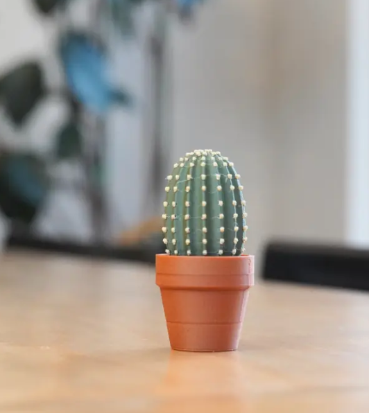 Clicki-Cactus Collection