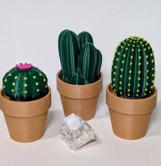 Clicki-Cactus Collection