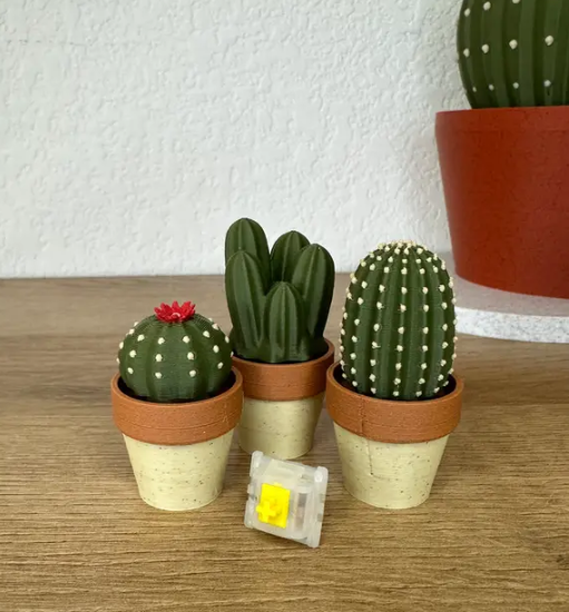 Clicki-Cactus Collection