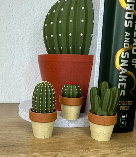 Clicki-Cactus Collection