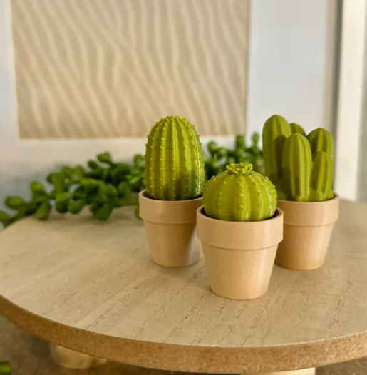 Clicki-Cactus Collection