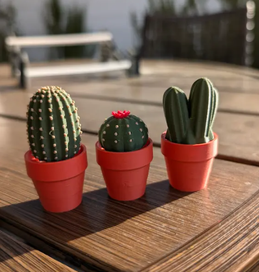 Clicki-Cactus Collection