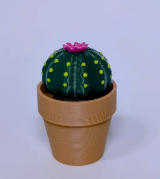 Clicki-Cactus Collection