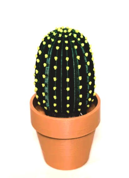 Clicki-Cactus Collection