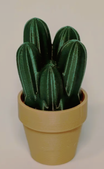 Clicki-Cactus Collection