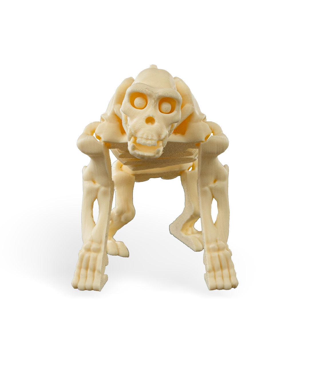 Chaz the Skeleton Chimp