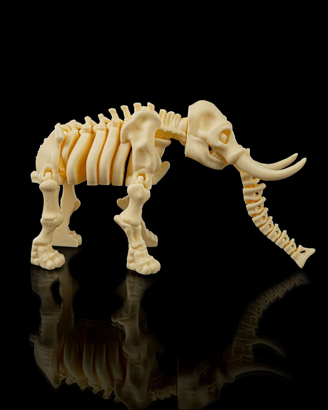 Tusk the Skeleton Elephant