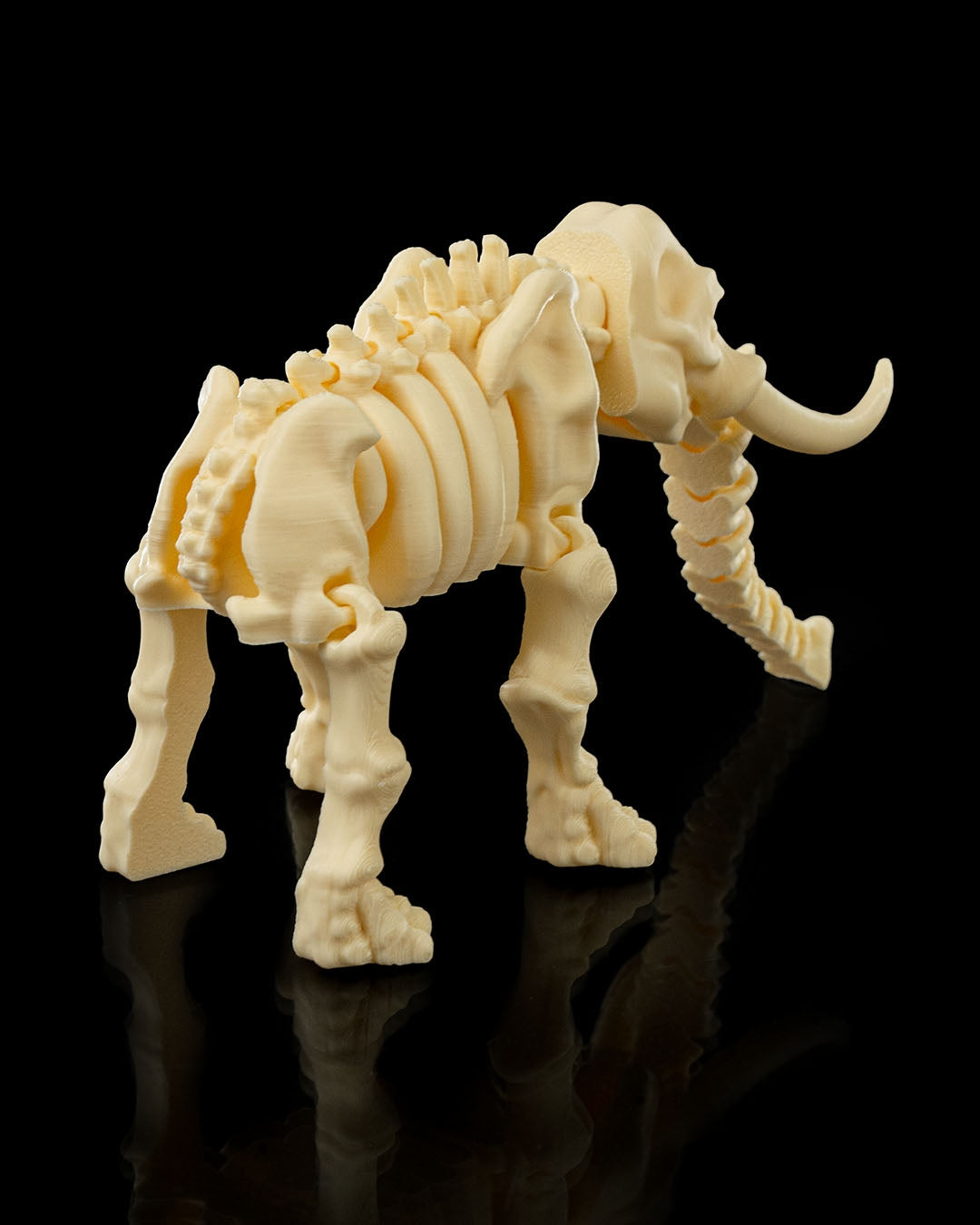 Tusk the Skeleton Elephant