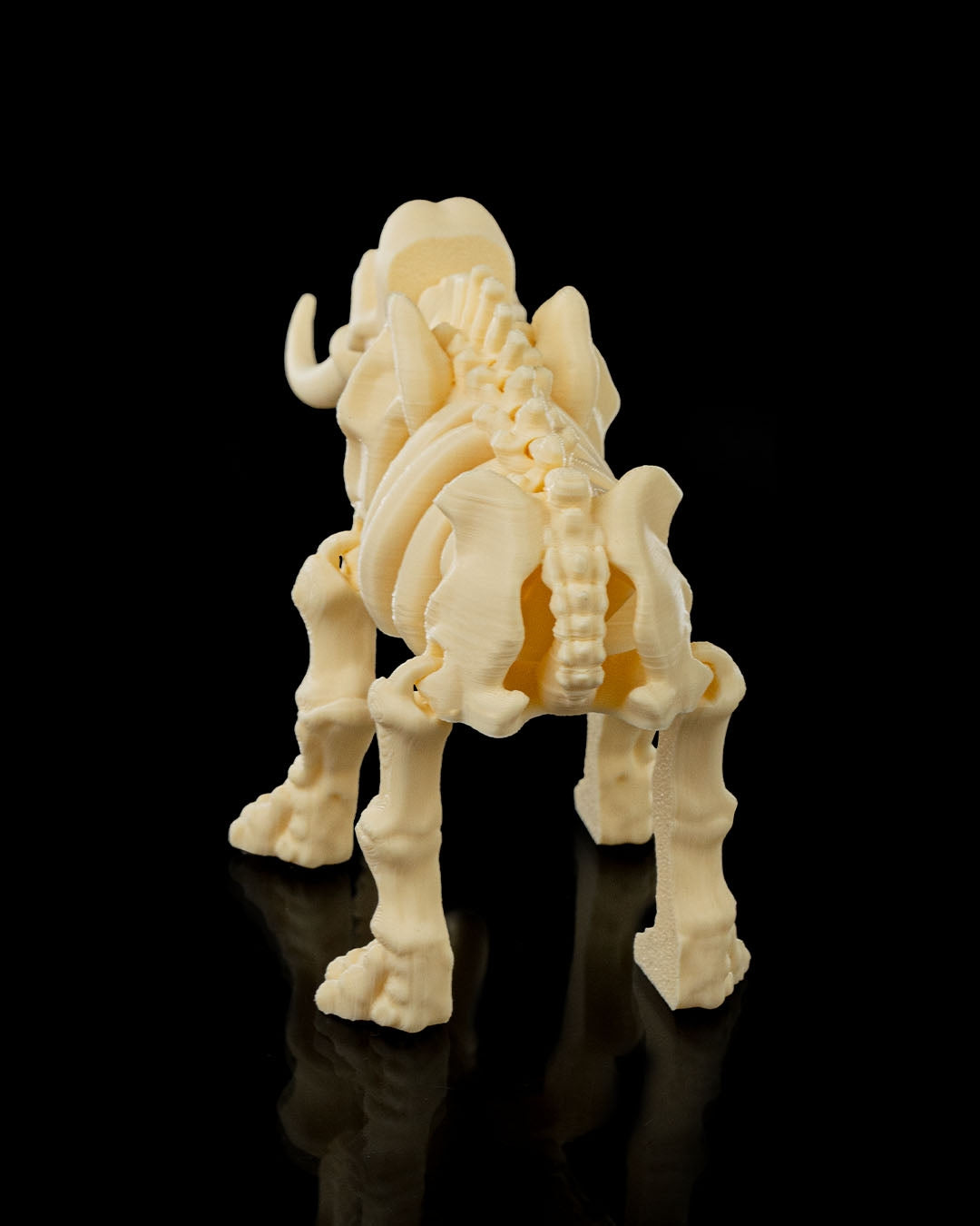 Tusk the Skeleton Elephant