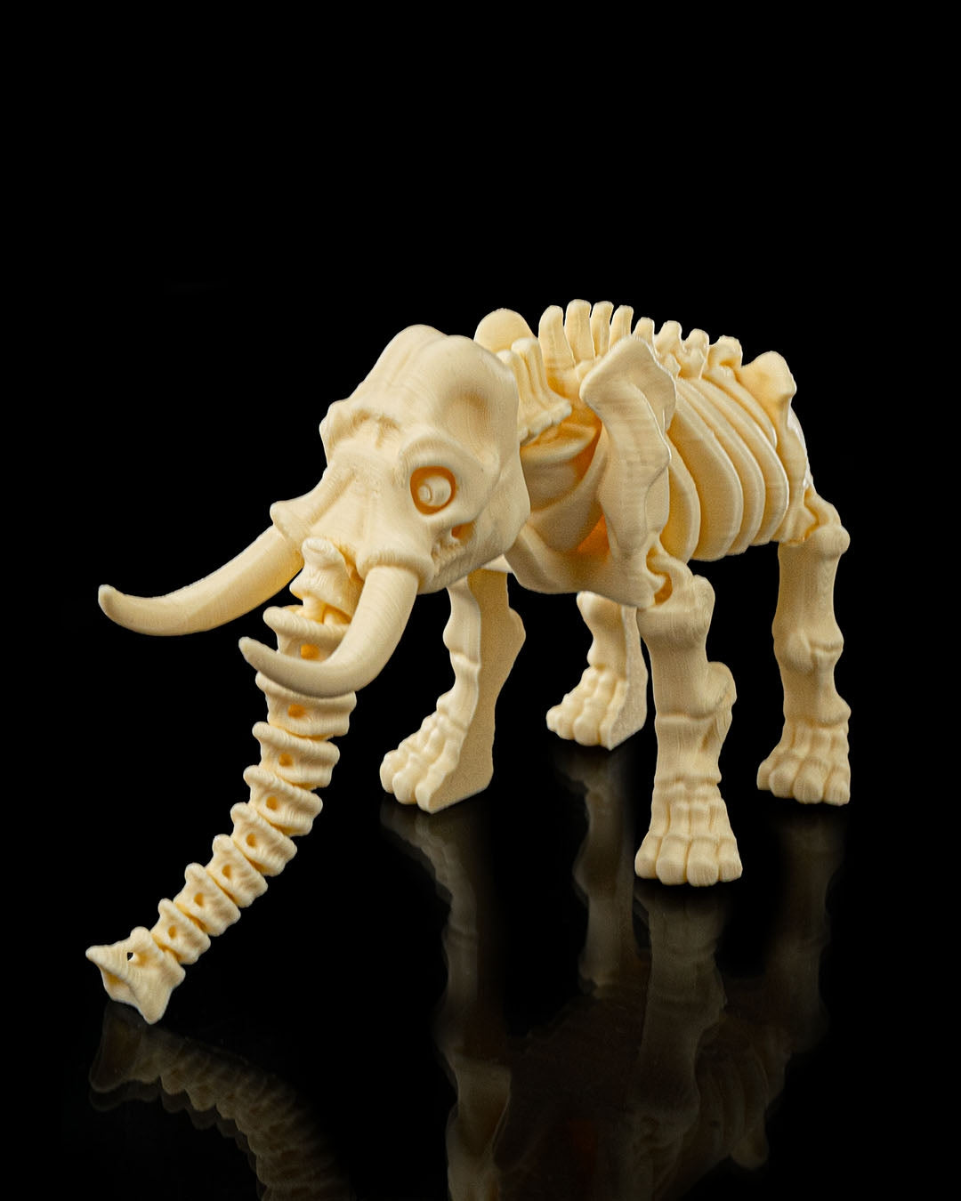 Tusk the Skeleton Elephant