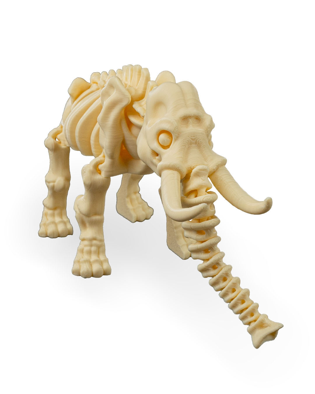 Tusk the Skeleton Elephant