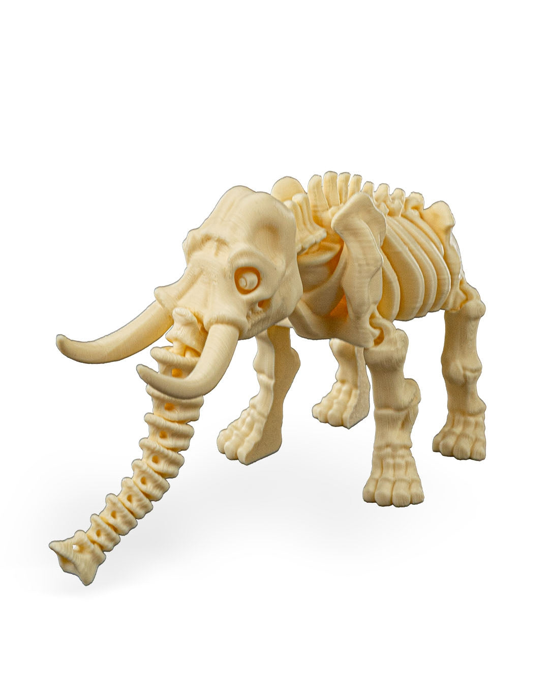 Tusk the Skeleton Elephant