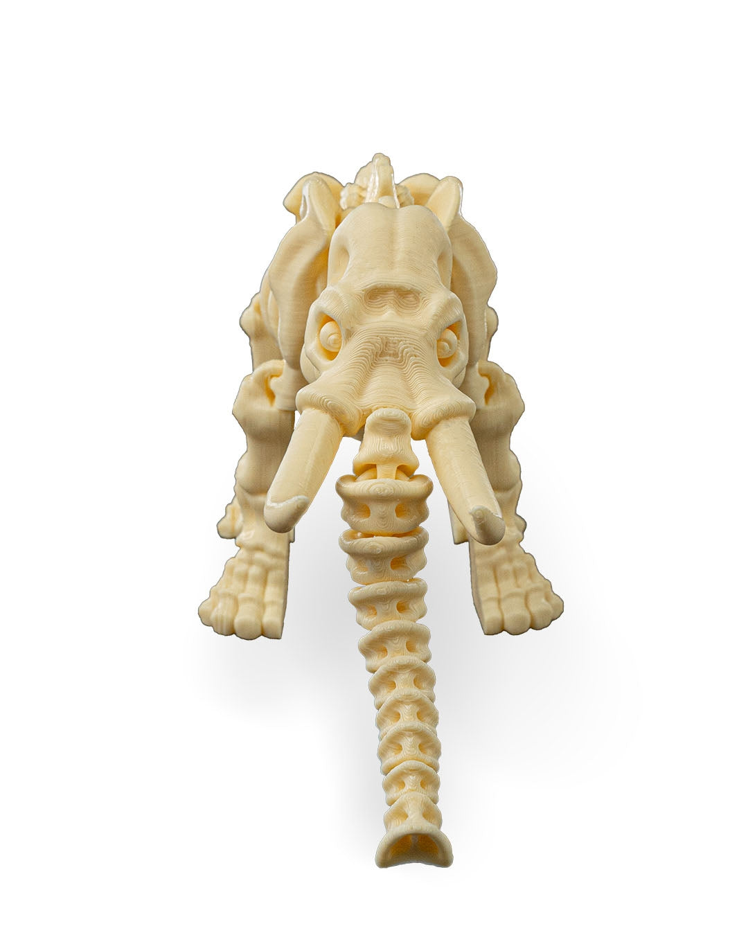 Tusk the Skeleton Elephant