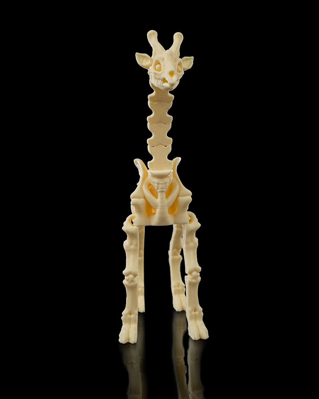 Stretch the Skeleton Giraffe