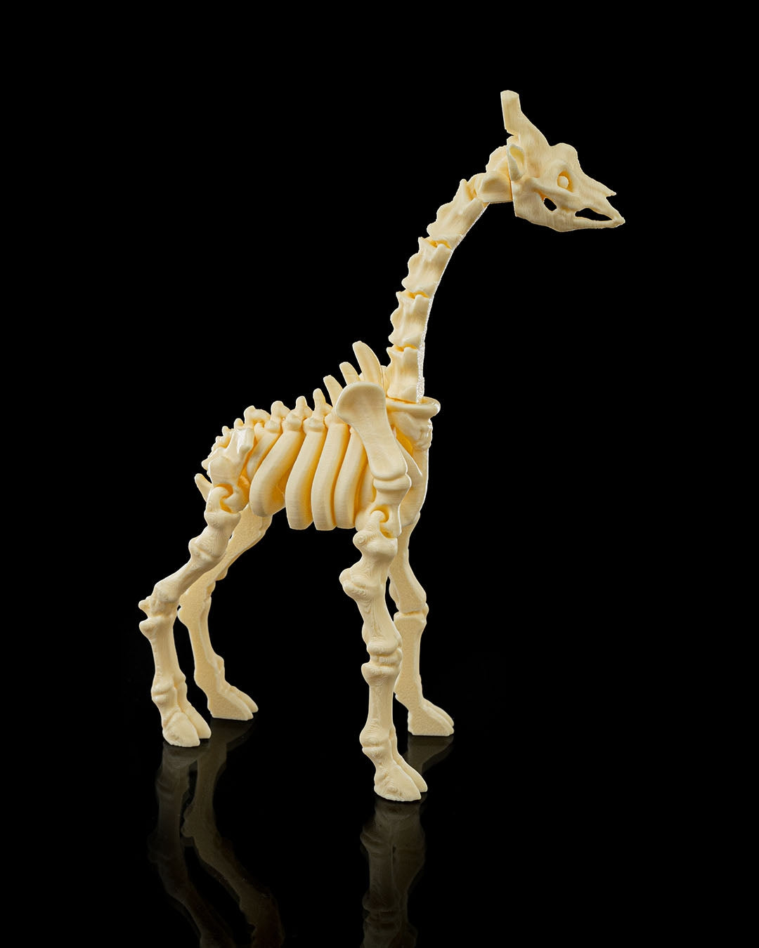 Stretch the Skeleton Giraffe