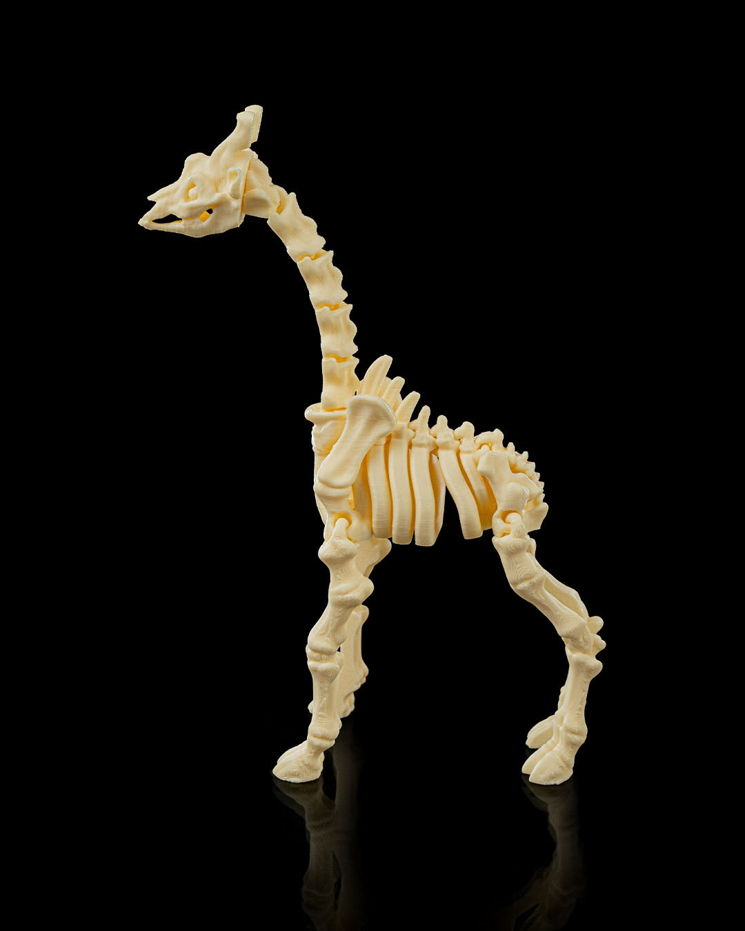 Stretch the Skeleton Giraffe