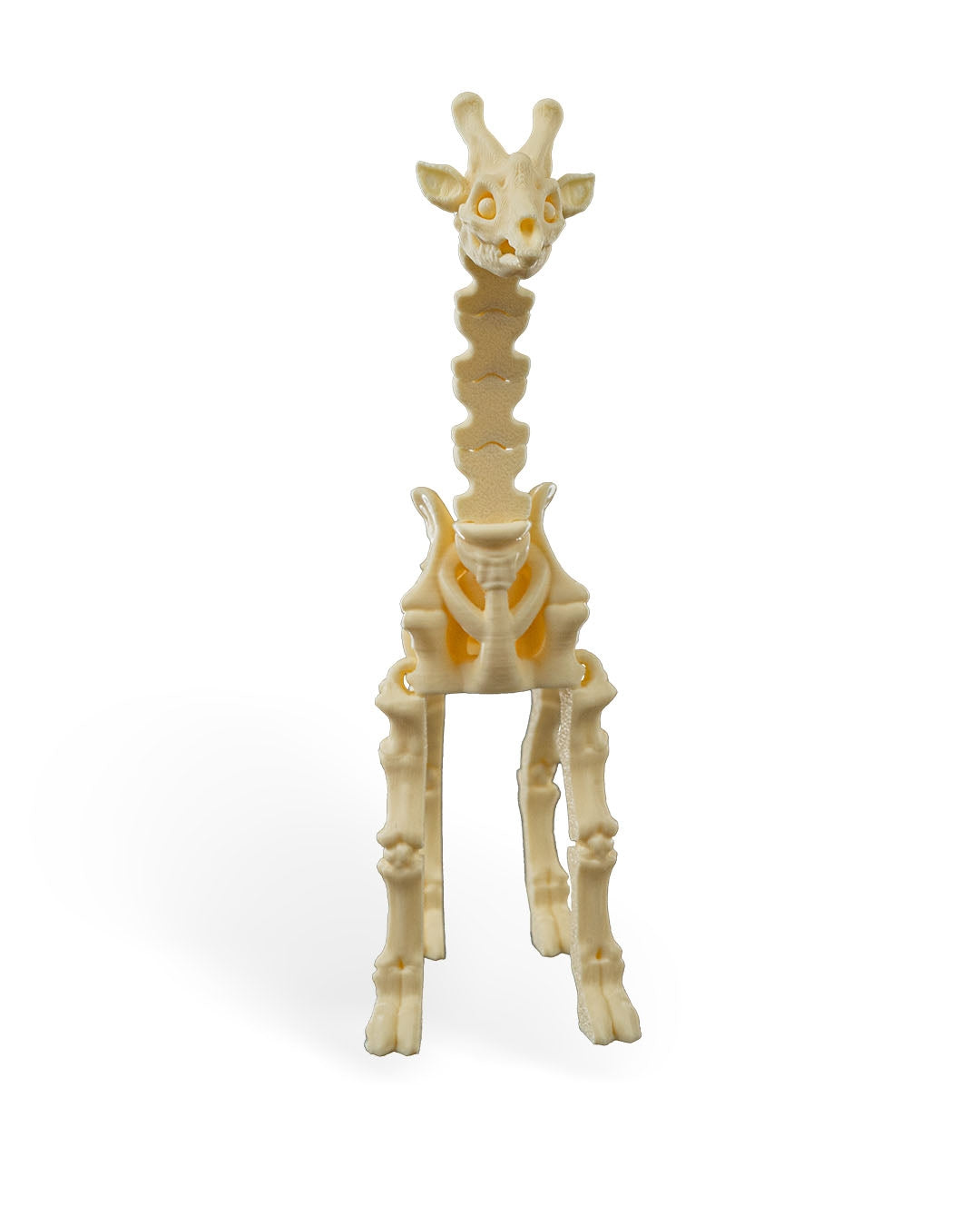 Stretch the Skeleton Giraffe