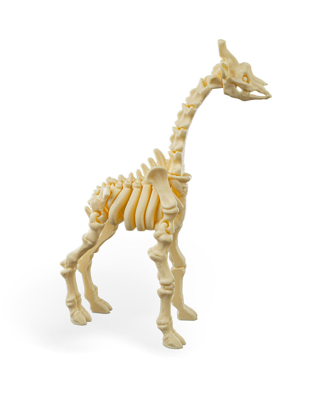 Stretch the Skeleton Giraffe