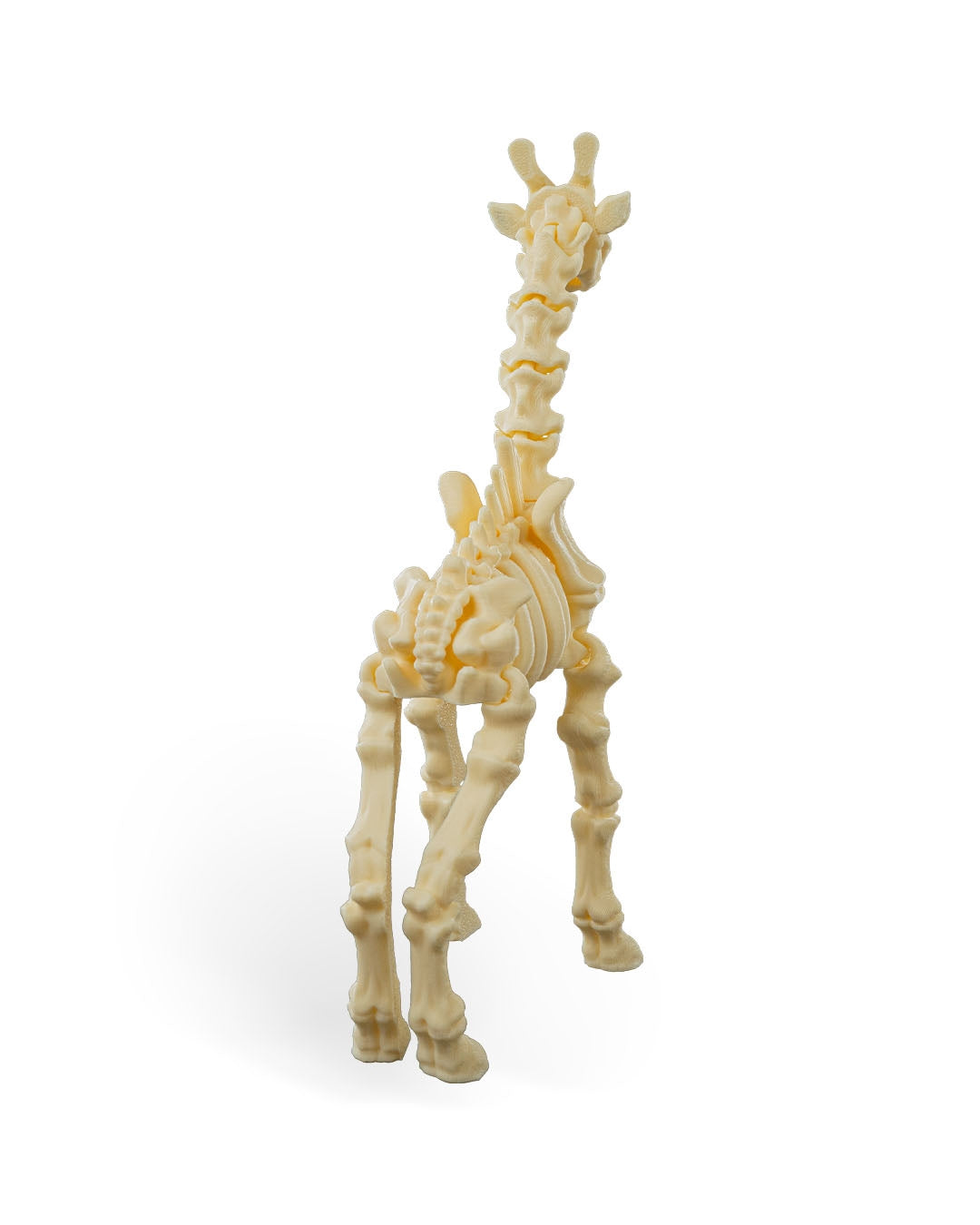 Stretch the Skeleton Giraffe