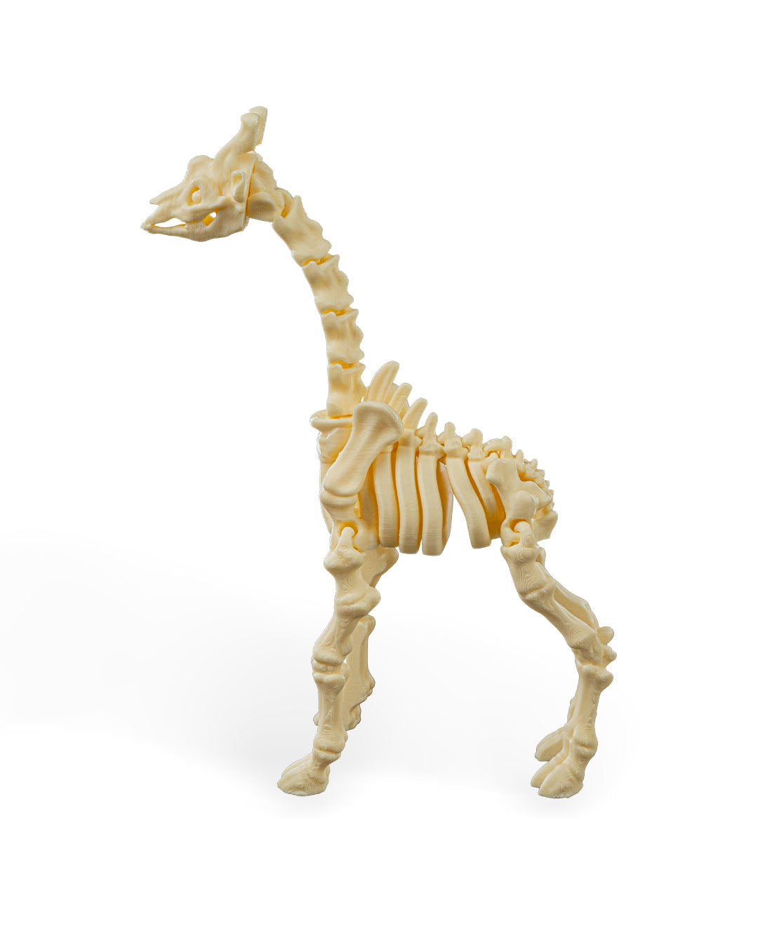 Stretch the Skeleton Giraffe