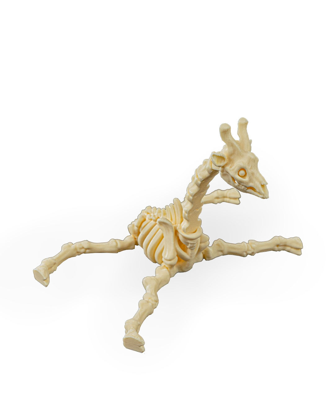 Stretch the Skeleton Giraffe