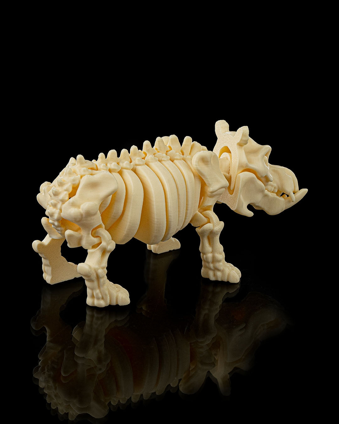 Bertie the Skeleton Hippo