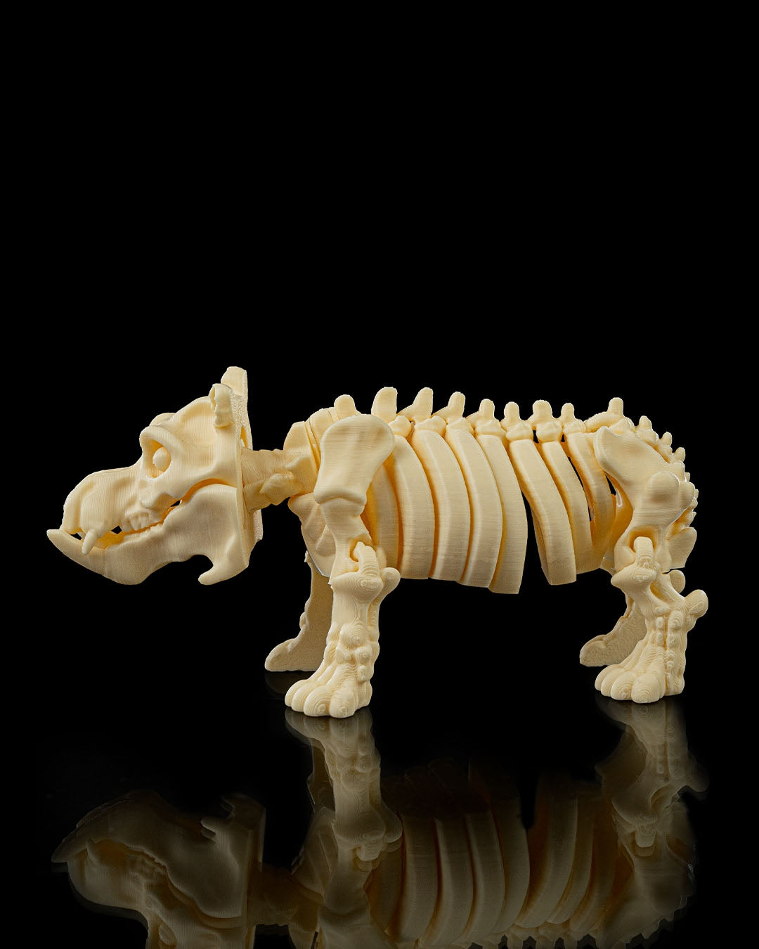 Bertie the Skeleton Hippo