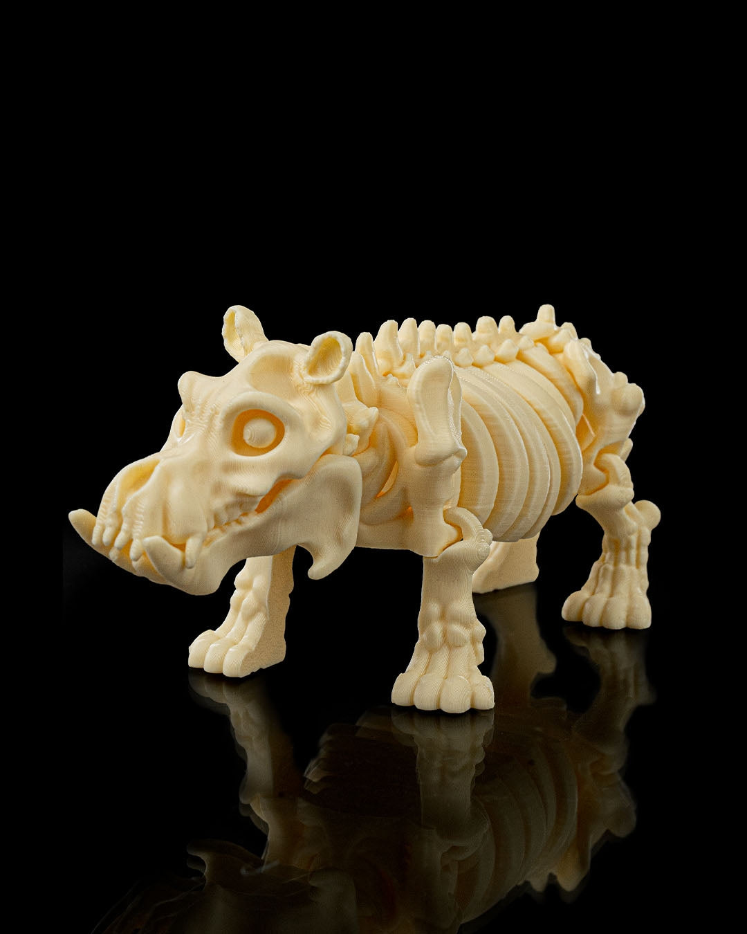 Bertie the Skeleton Hippo