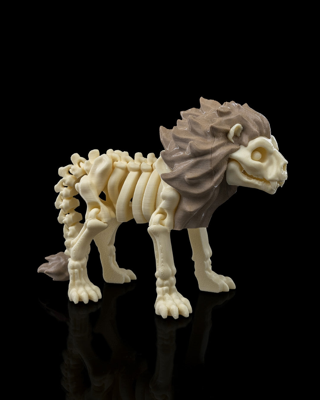 Leo the Skeleton Lion