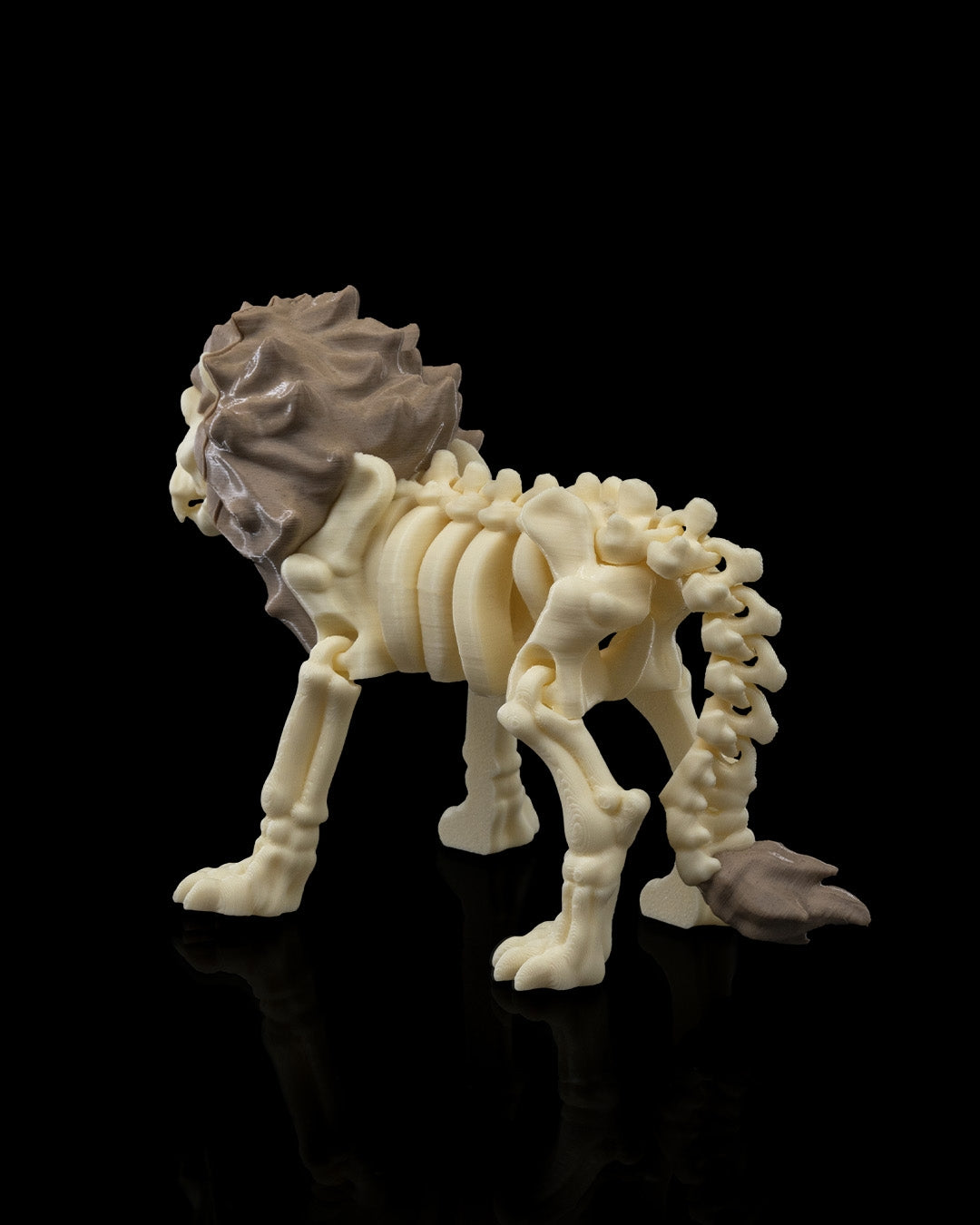 Leo the Skeleton Lion